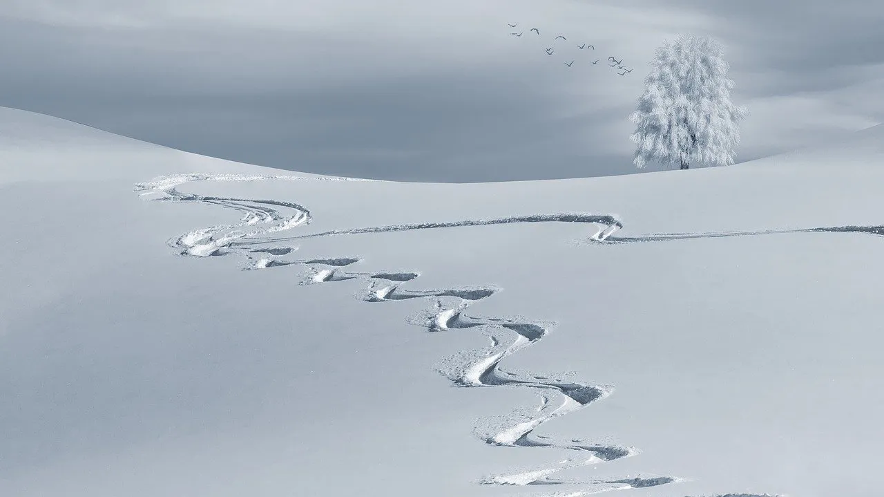 wintry, snow, backcountry skiiing-2068298.jpg